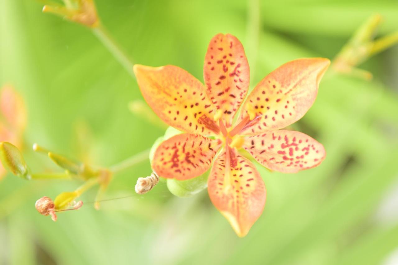 Pousada Jardim Das Bromelias ポルトセグロ エクステリア 写真