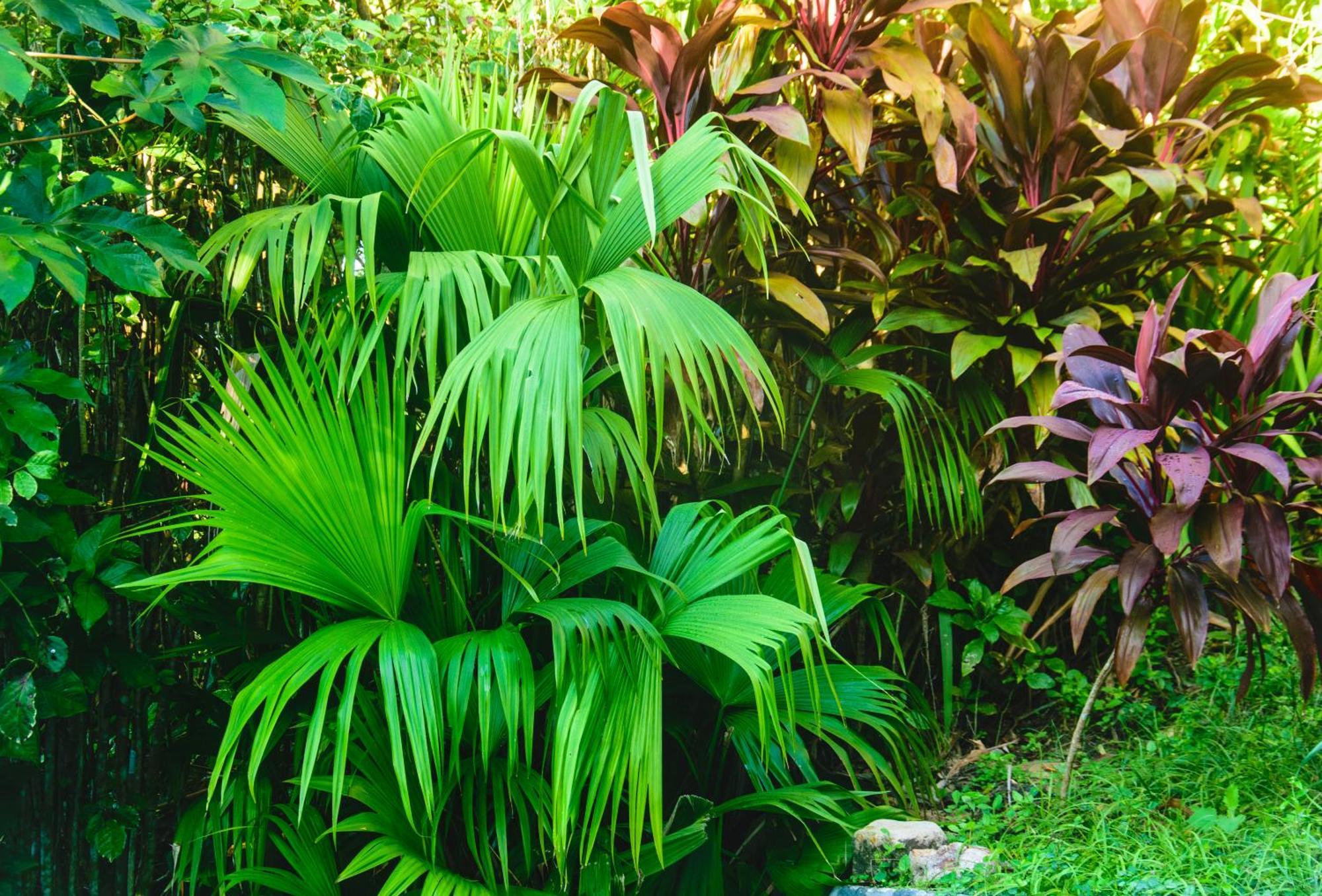 Pousada Jardim Das Bromelias ポルトセグロ エクステリア 写真