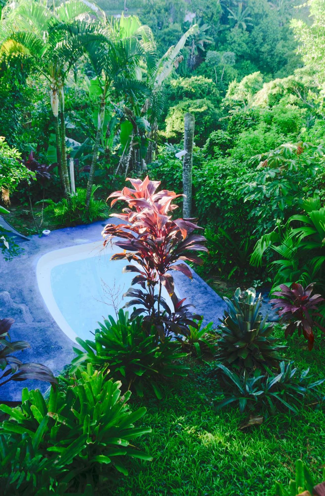 Pousada Jardim Das Bromelias ポルトセグロ エクステリア 写真